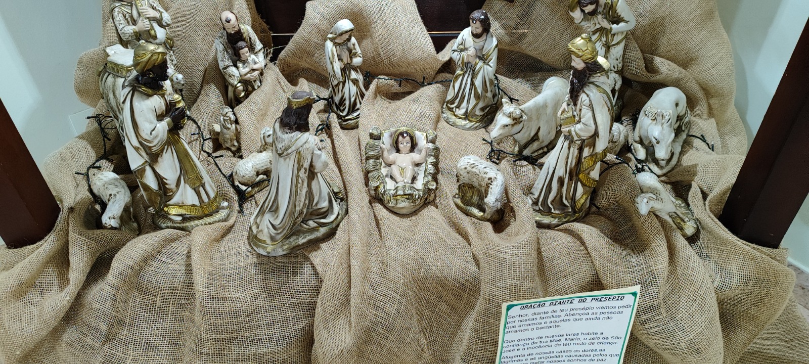 WhatsApp Image 2025-02-14 at 14.50.10.jpeg